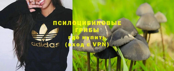 мяу мяу мука Пересвет