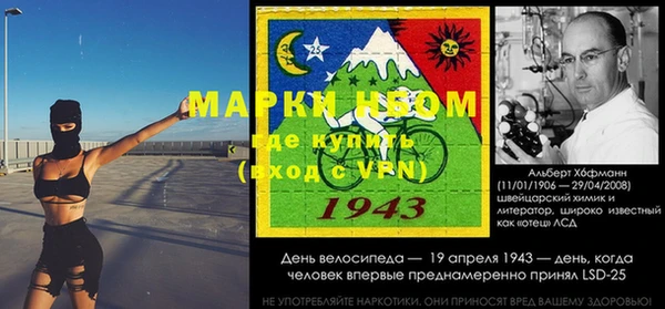 дмт Пестово